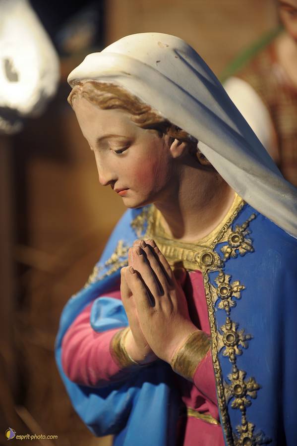 Nom de l'image : D30043114_1_(c)Norbert-JUNG — Description :